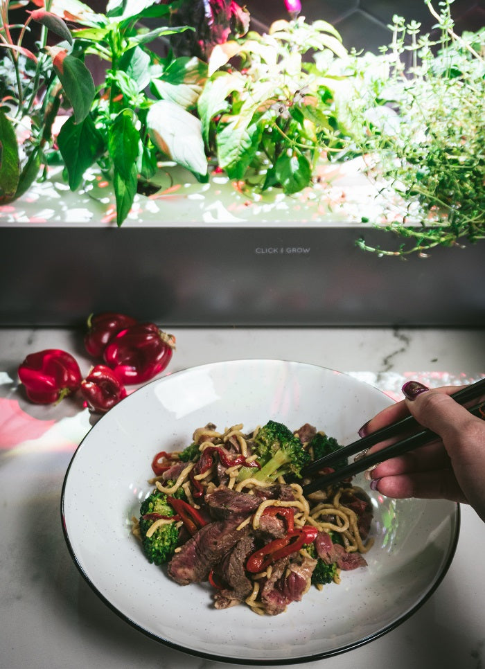 Meal of the Month: Mouthwatering Red Sweet Pepper Spaghetti with Meat