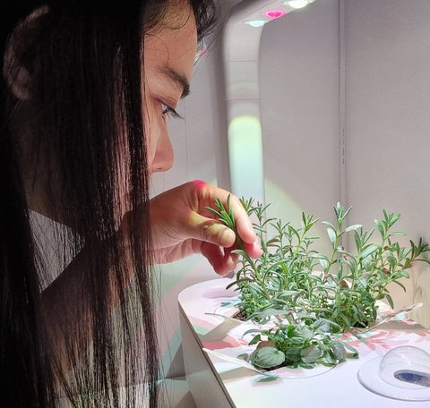 Woman tending to plants in the Click & Grow Smart Garden 9.