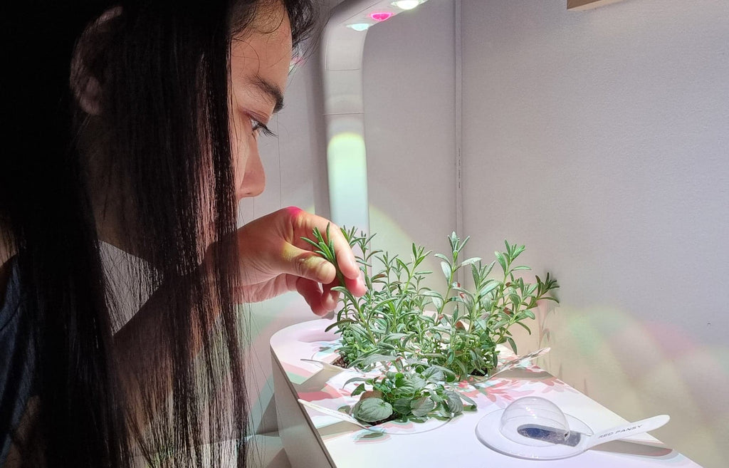 Woman tending to plants in the Click & Grow Smart Garden 9.