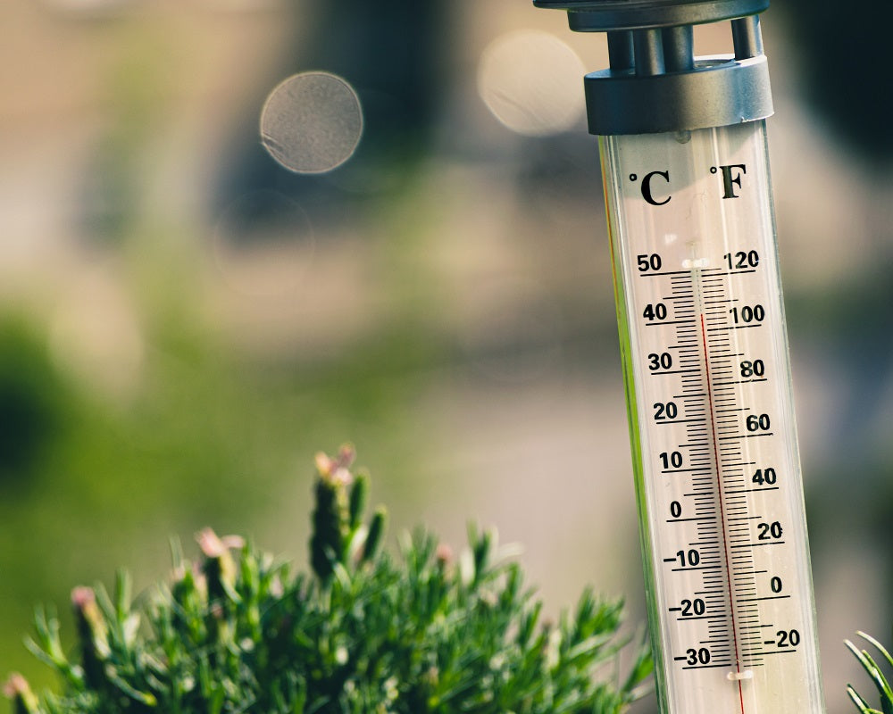 Outdoor thermometer on a hot day.