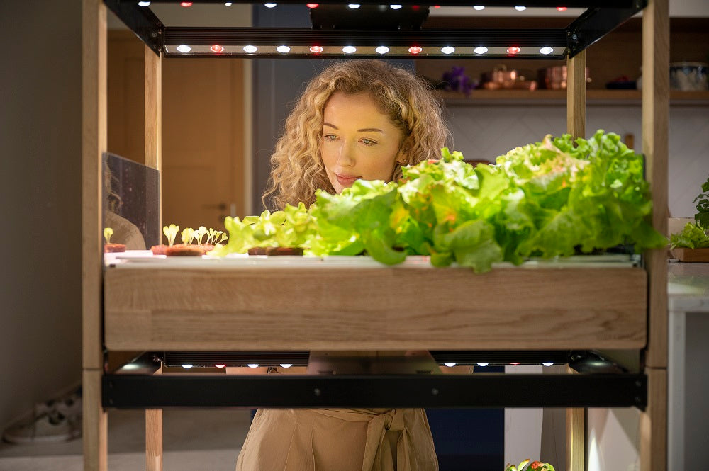 Woman observing plants growing in the Click & Grow 25.