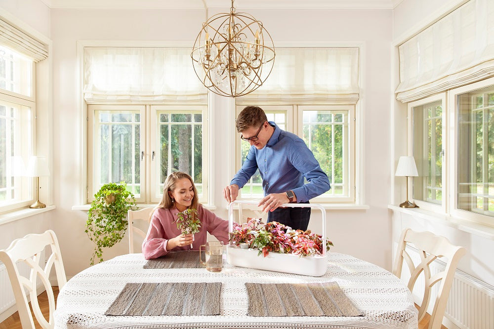 A woman and man having fun using the Click & Grow Smart Garden 9 together.