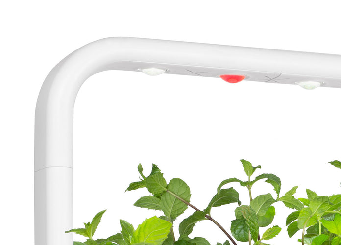 The Smart Garden 9 Lamp