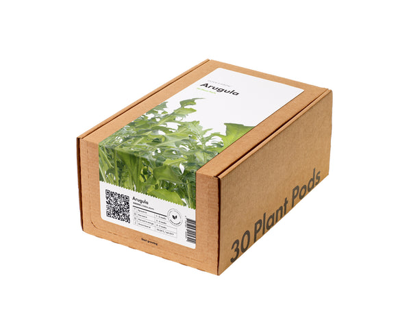 Arugula 30-pack