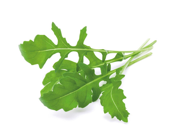 Arugula Plant Pods 9-pack