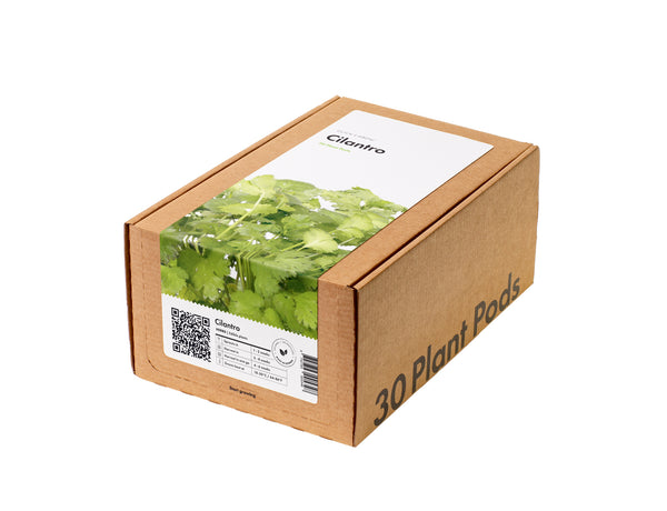 Cilantro (Coriander) 30-pack