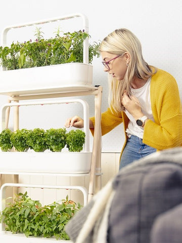 Girl observing plants growing in the Smart Garden 27.