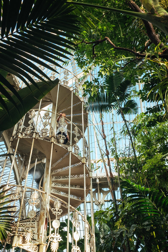 Travel Suggestion: Royal Botanic Gardens, Kew