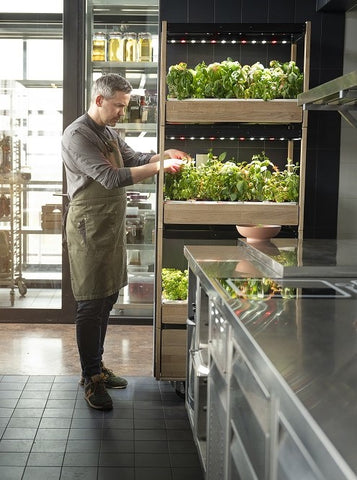 Man tending to plants growing in the Click & Grow 25.