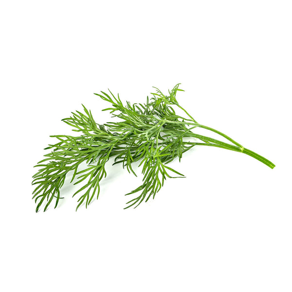 dill