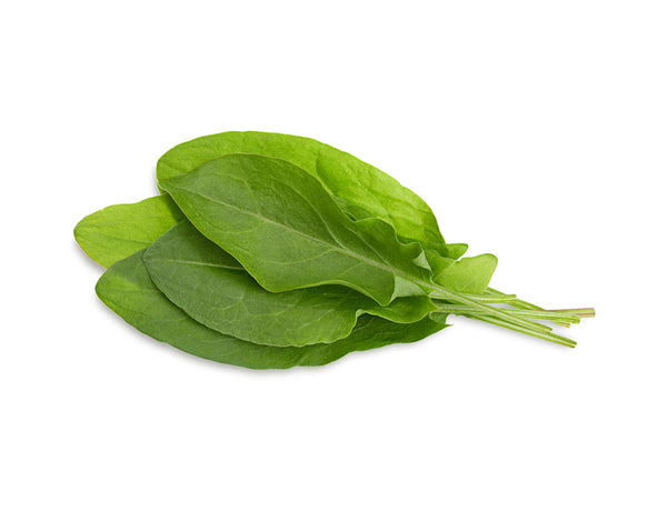 Green Sorrel Plant Pods 9-pack