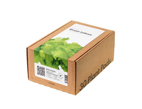 Green Lettuce 30-pack