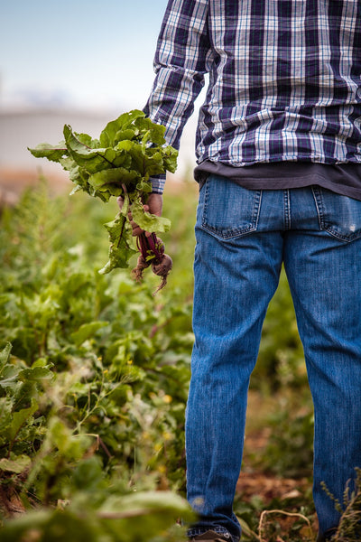 Farmer holding produce.