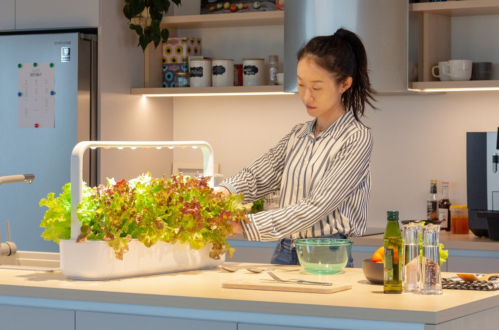 Woman harvesting plants from the Click & Grow Smart Garden 9.