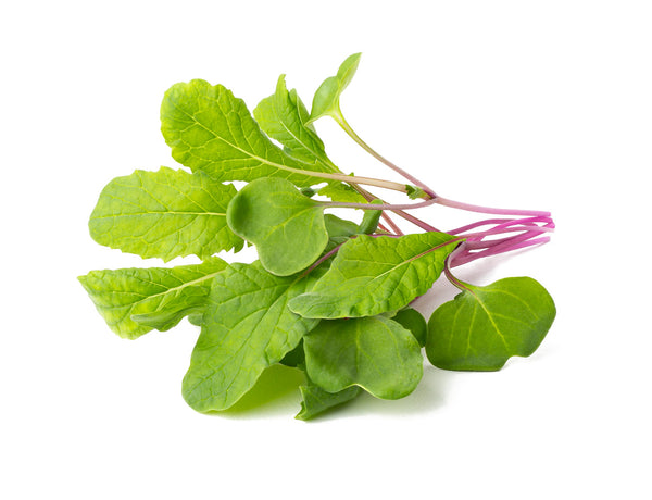 Leaf Radish Plant Pods