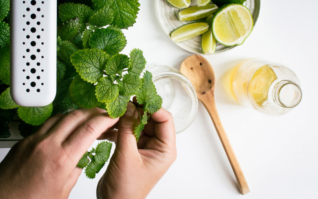 Lemon Balm Lemonade Recipe