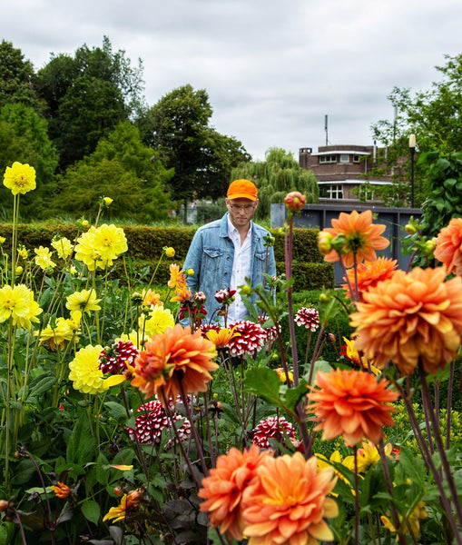 Man looking at plants in a garden.