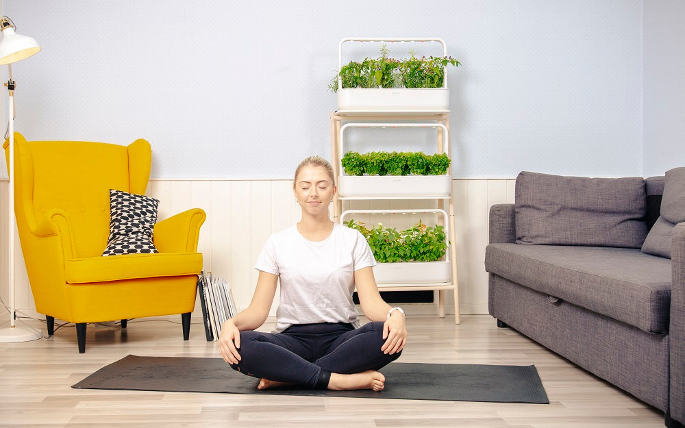 When stuck indoors, plants become your best way out