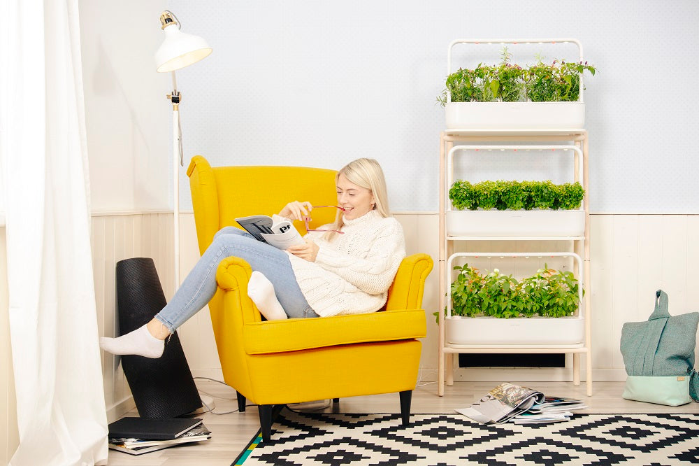 4 Proven Ways Indoor Gardening Lifts Your Mood