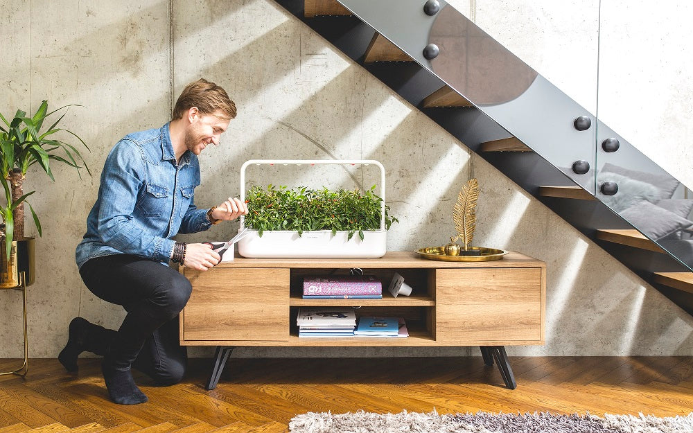 Happy man tending to a Click & Grow Smart Garden 9