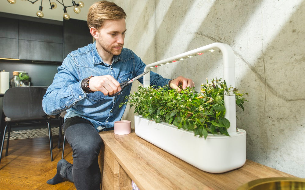 Man trimming plants in a Click & Grow Smart Garden 9.