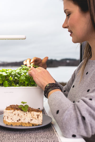 Woman growing lemon balm in the Click & Grow Smart Garden 3 during winter.