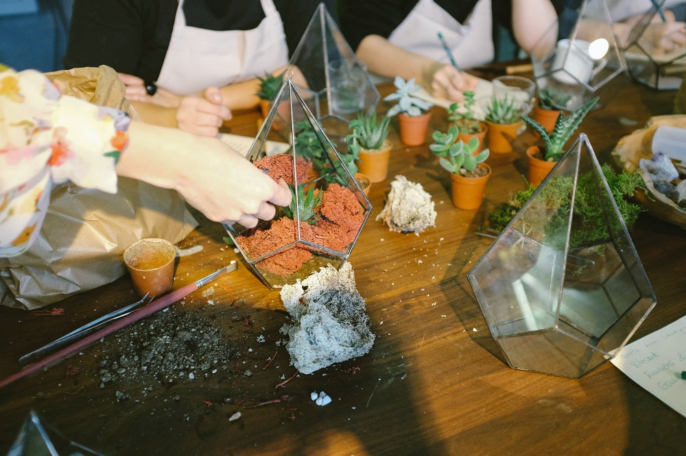 Assortment of plants on a table