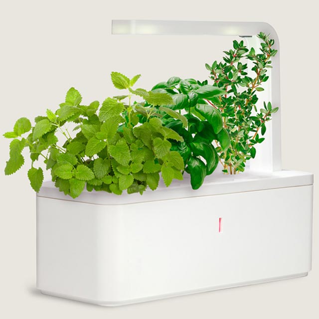 Smart Herb Garden