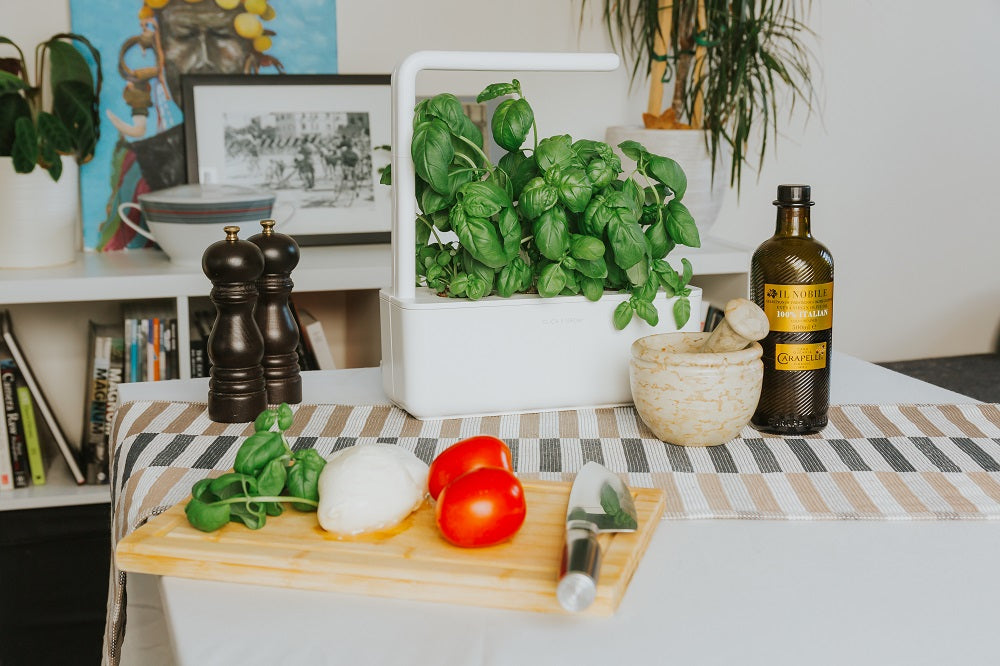 Smart garden 3 with basil on a stylish tabletop.