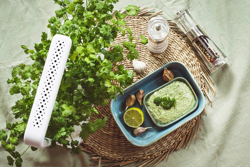 Smart garden and summer food on table.