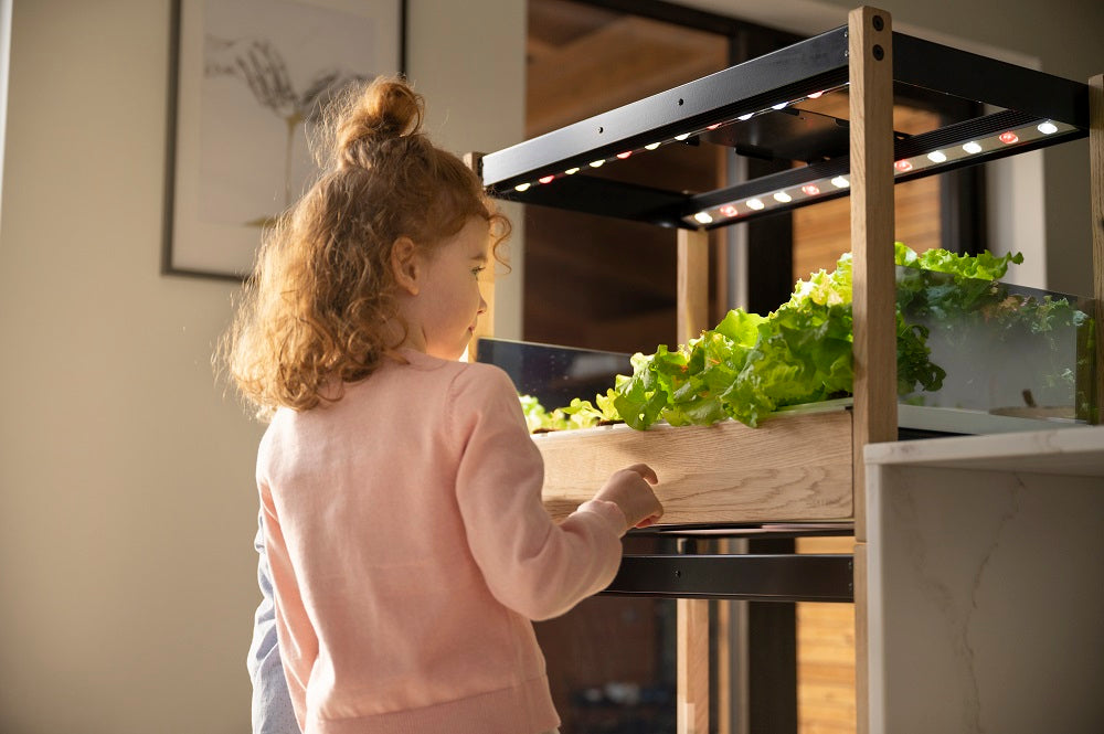 Girl looking at produce growing in the Click & Grow 25.