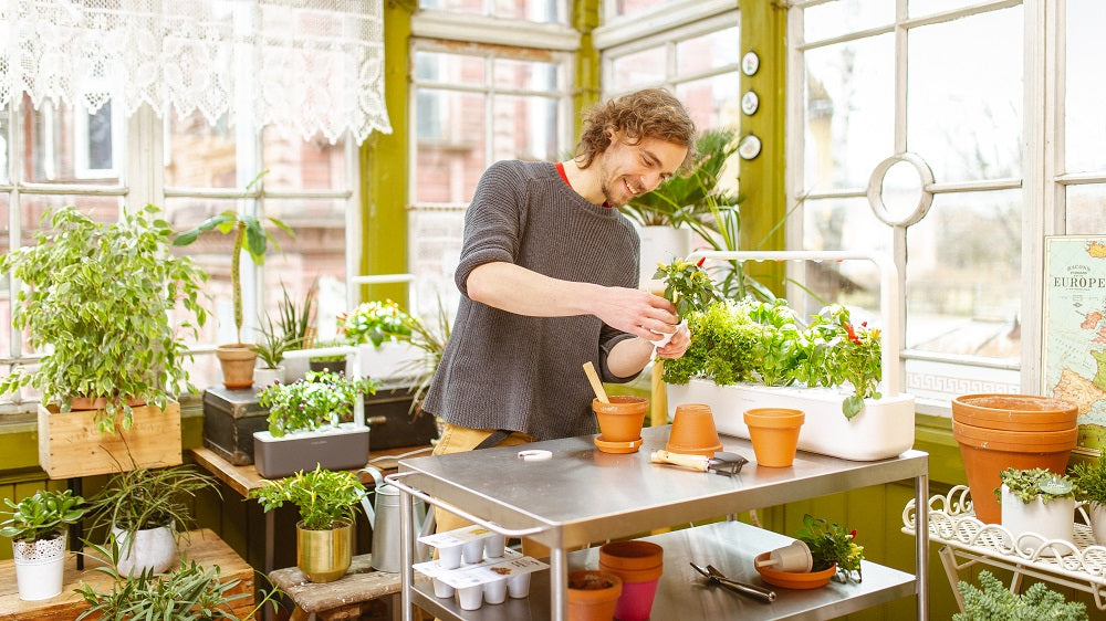 Gardener having fun using Click and Grow smart gardens.