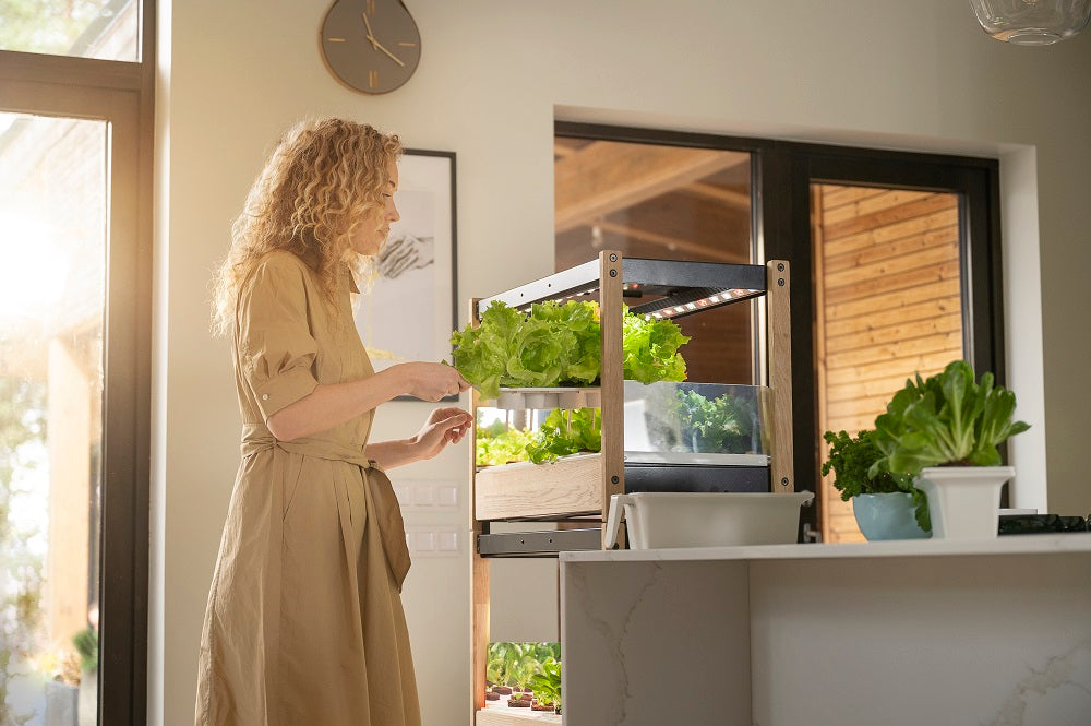 Woman removing a tray of greens from the Click and Grow 25.