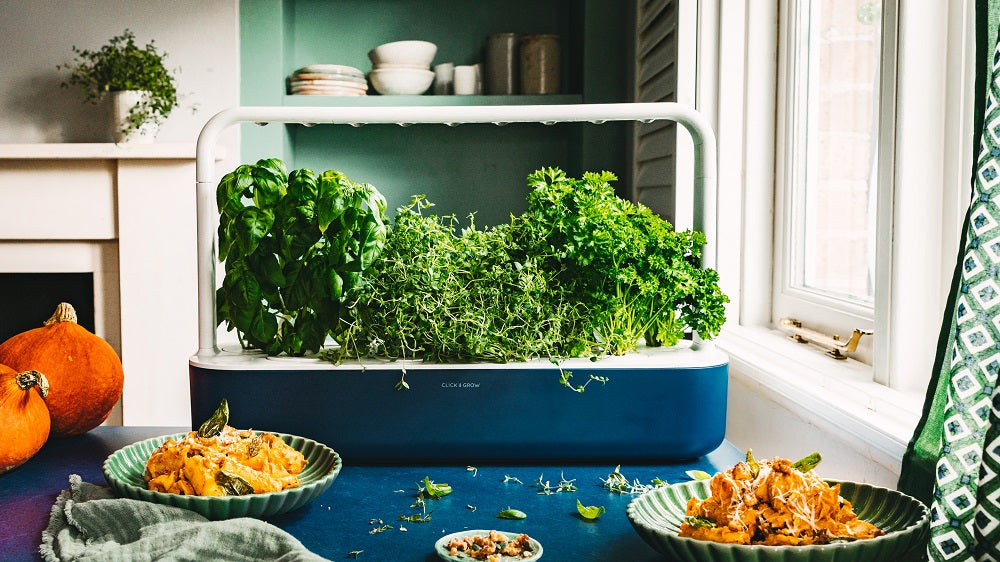 Creamy pumpkin rigatoni and a navy colored Smart Garden 9.