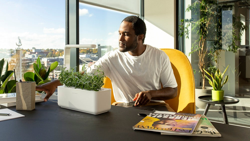 Man sitting at an office desk with a smart garden in front of him.