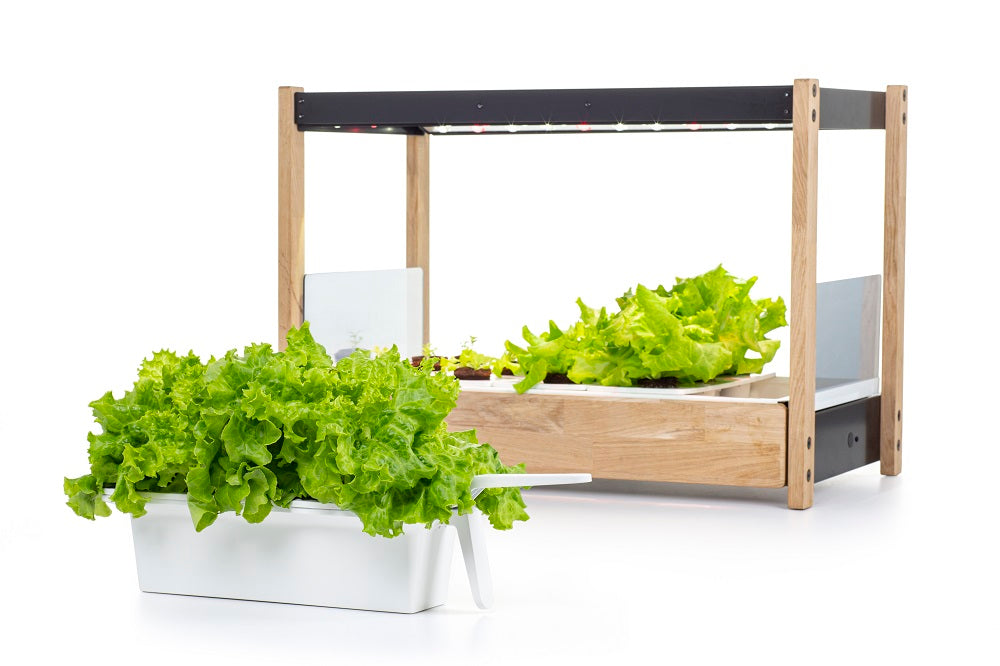 Click & Grow 25 and tray.