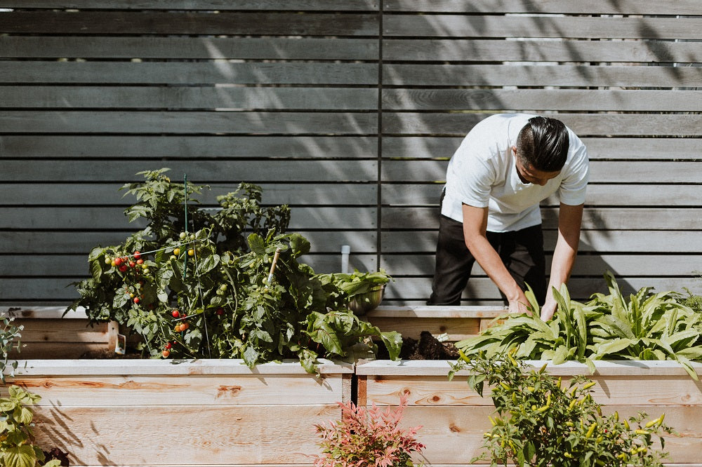 Young man tending to outdoor plants.