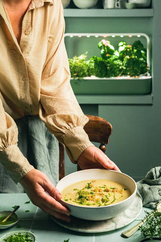 White Bean and Parsnip Soup with Herby Croutons and Parsley Oil.