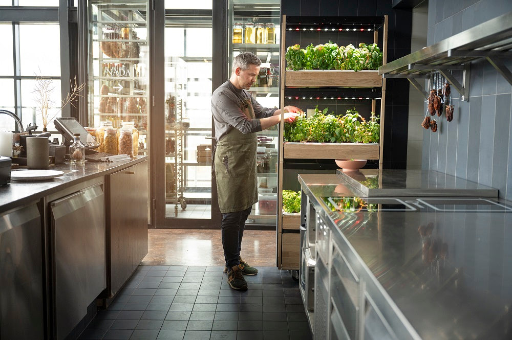 Man tending to plants growing in the Click & Grow 25 in a restaurant kitchen.