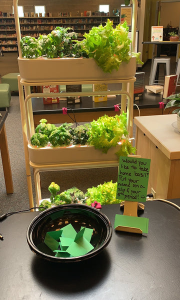 Smart Garden 27 set up in a school library.