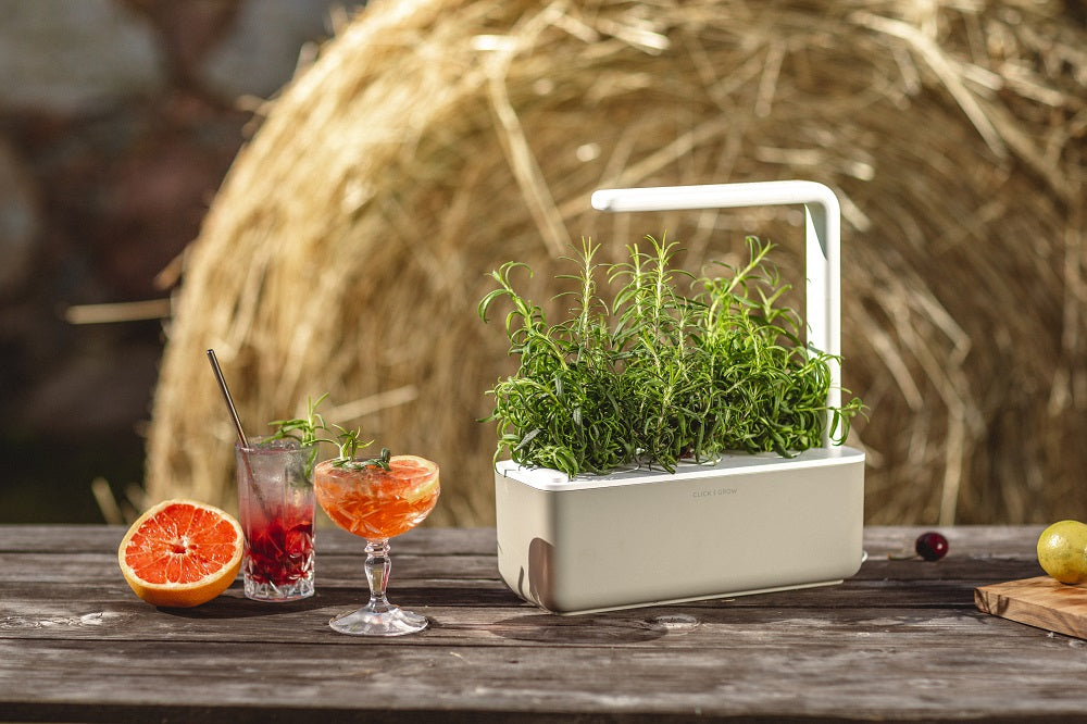 The smart garden 3 on a wooden table with cocktails beside it outdoors.