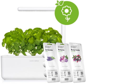 The Click & Grow Blooming Flower Kit.