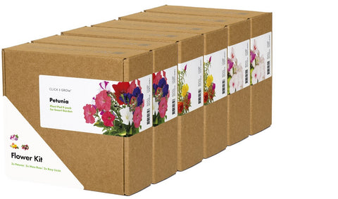 The Click & Grow Vibrant Flower Mix.