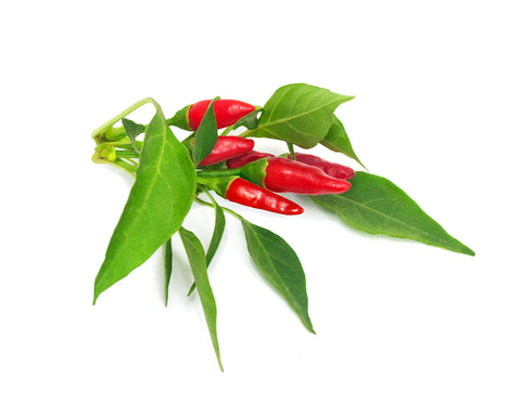 Click and Grow Piri Piri