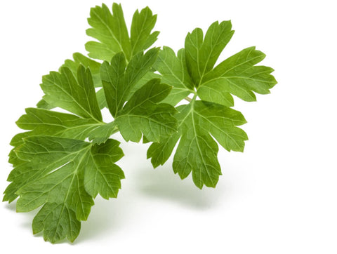 Click & Grow parsley