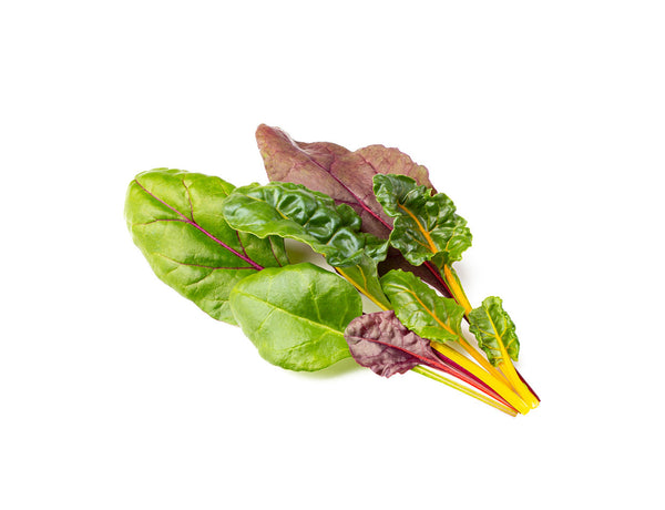 Rainbow Chard Plant Pods 9-pack