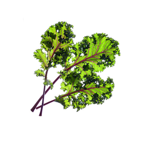 red kale