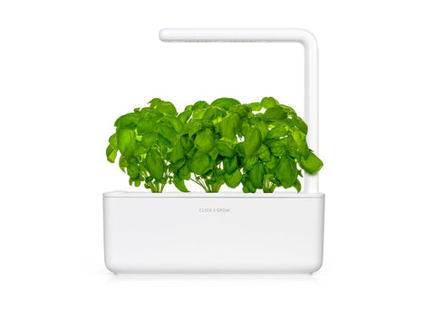 Smart Garden 3 with Basil plant pods