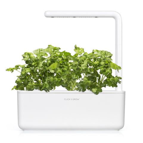 Cilantro in Smart Garden 3