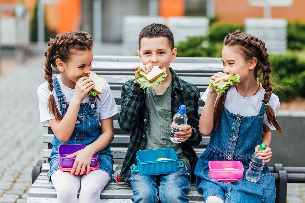 Back to School: 5 Easy Plants to Grow Indoors For Lunchboxes